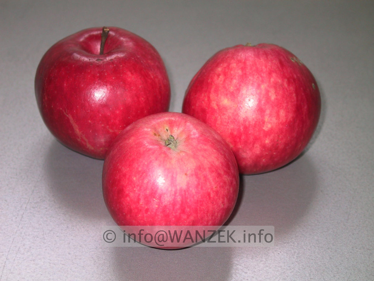 Apfel Jamba 69-3.JPG